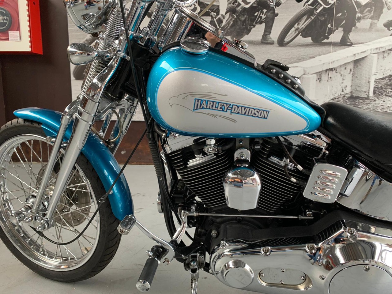 SOFTAIL SPRINGER