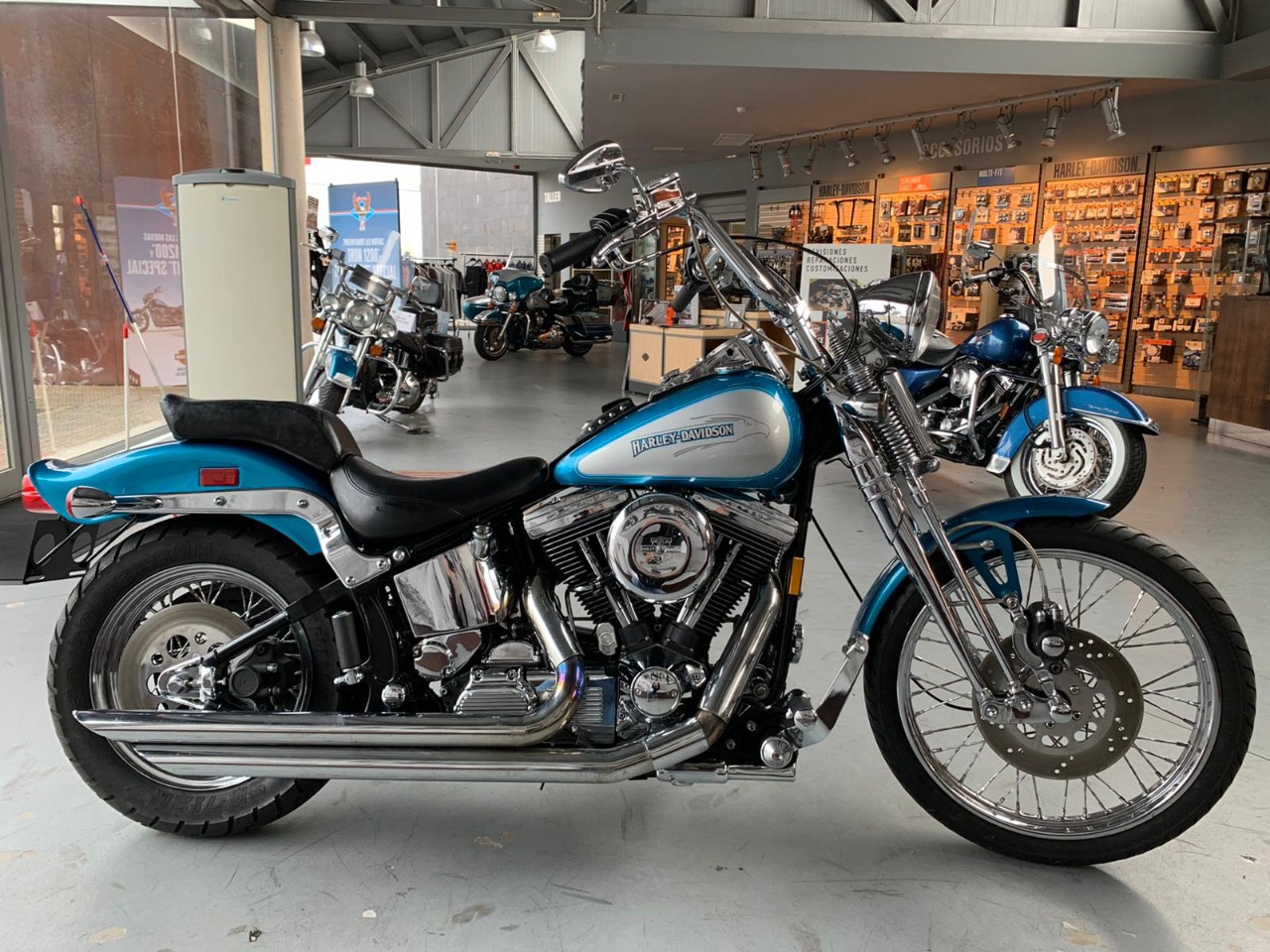 SOFTAIL SPRINGER