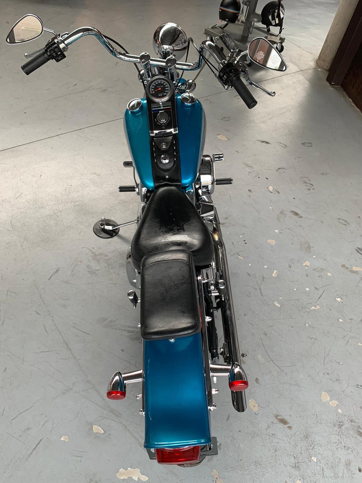 SOFTAIL SPRINGER